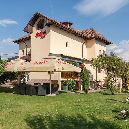 Pensiunea Andrei Rm Valcea Рымнику-Вылча Экстерьер фото